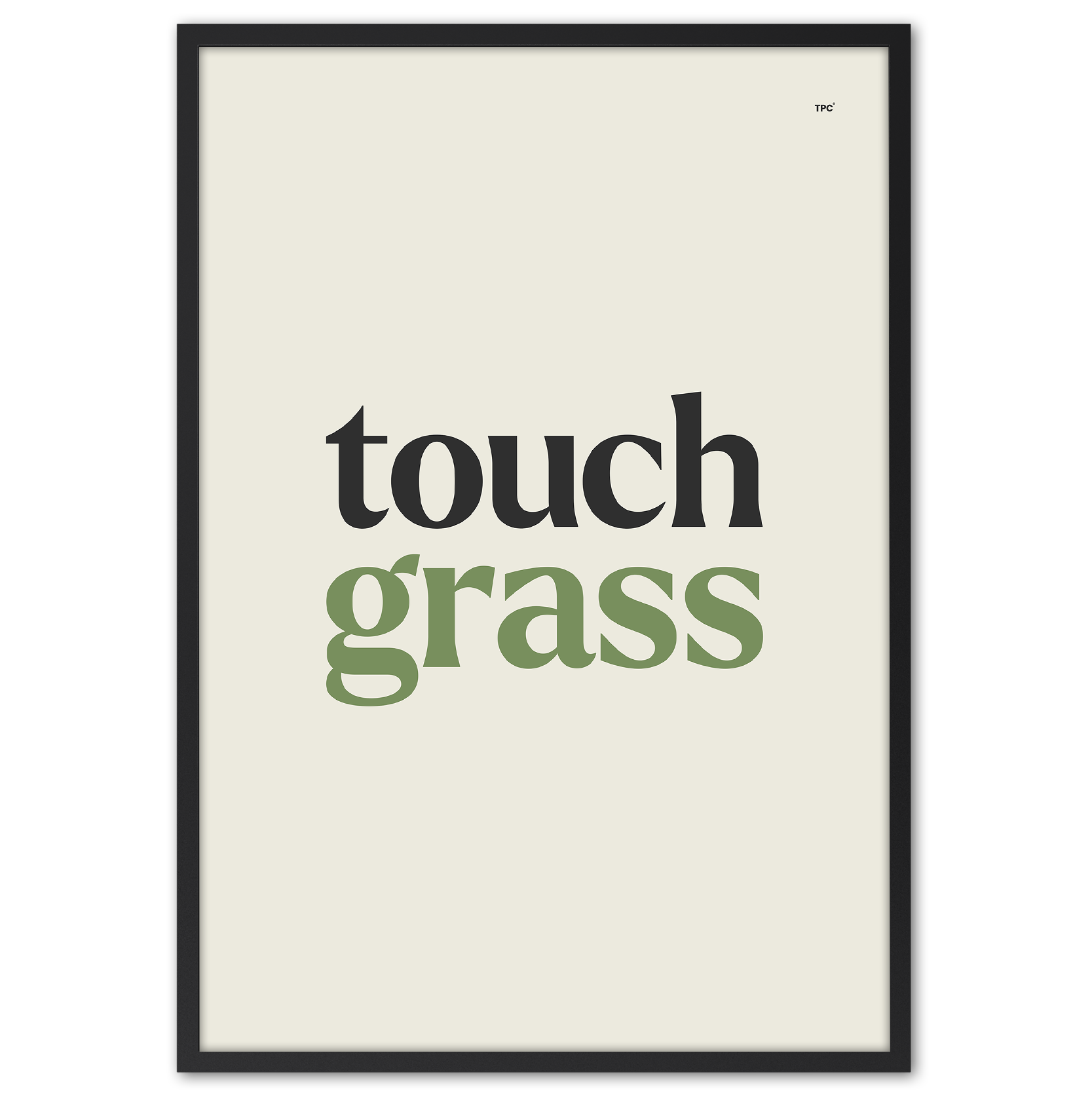 Touch Grass Poster