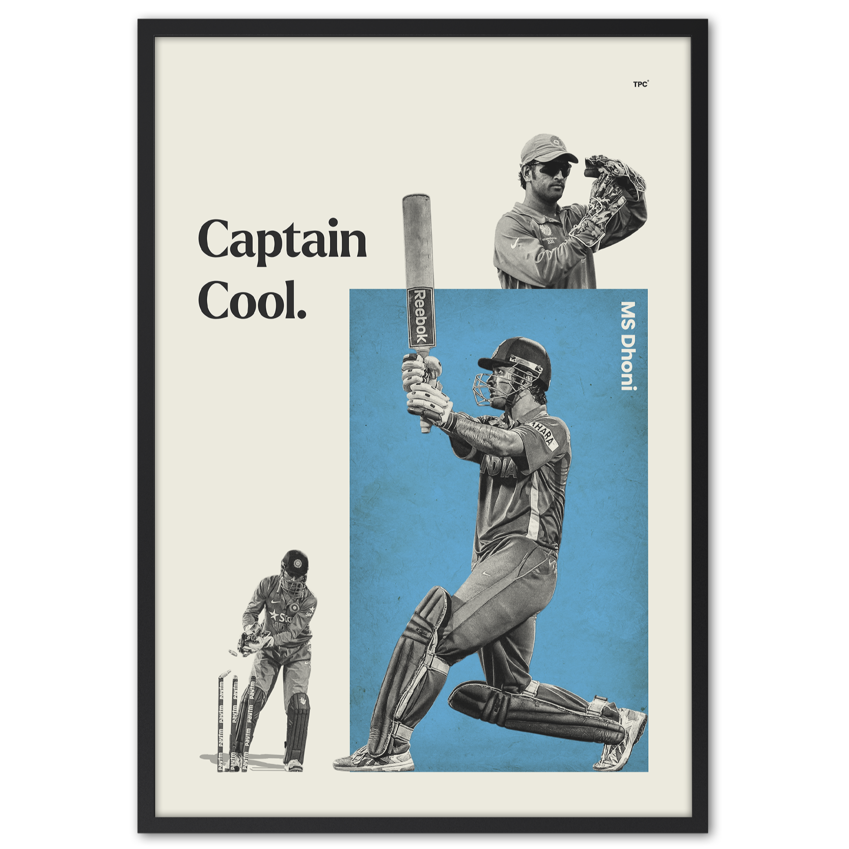 MS Dhoni Poster