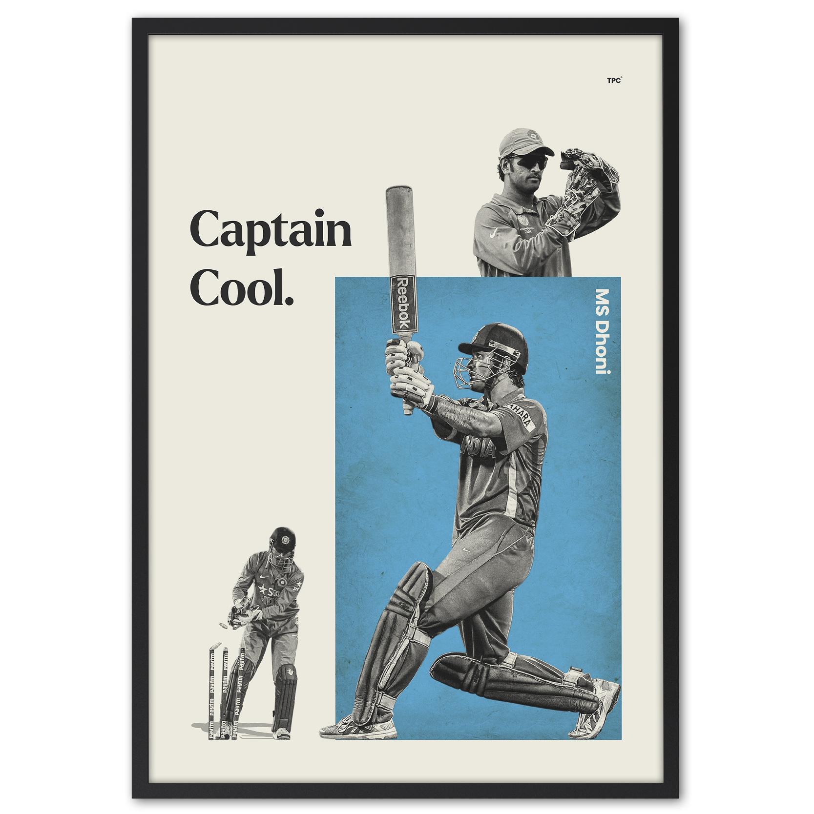 MS Dhoni Poster