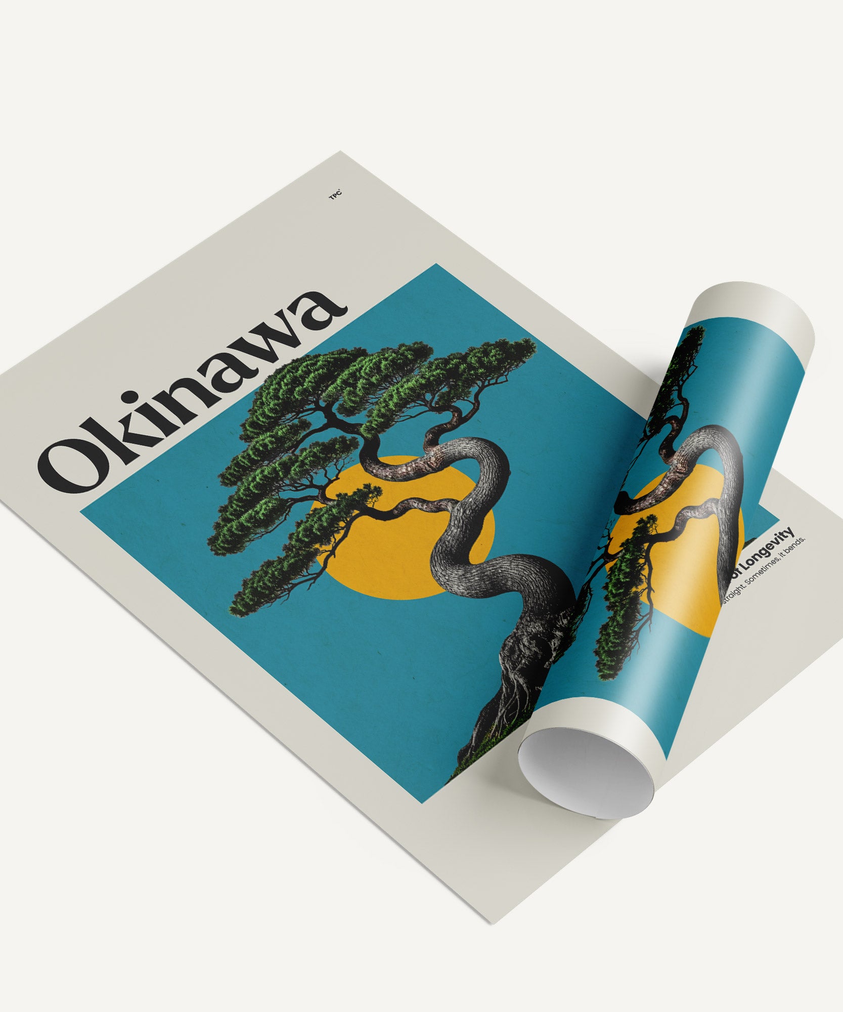 Okinawa Poster