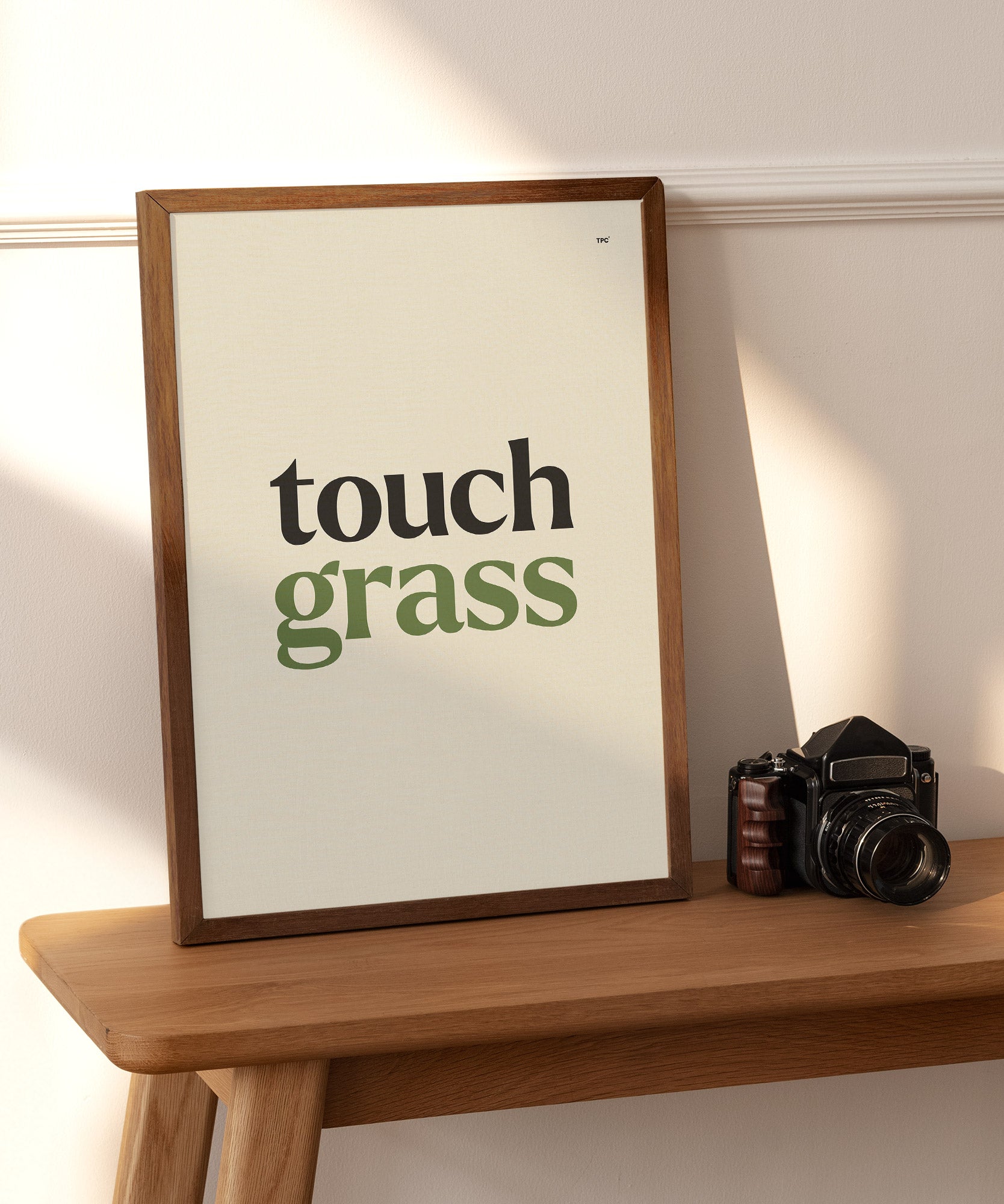 Touch Grass Poster