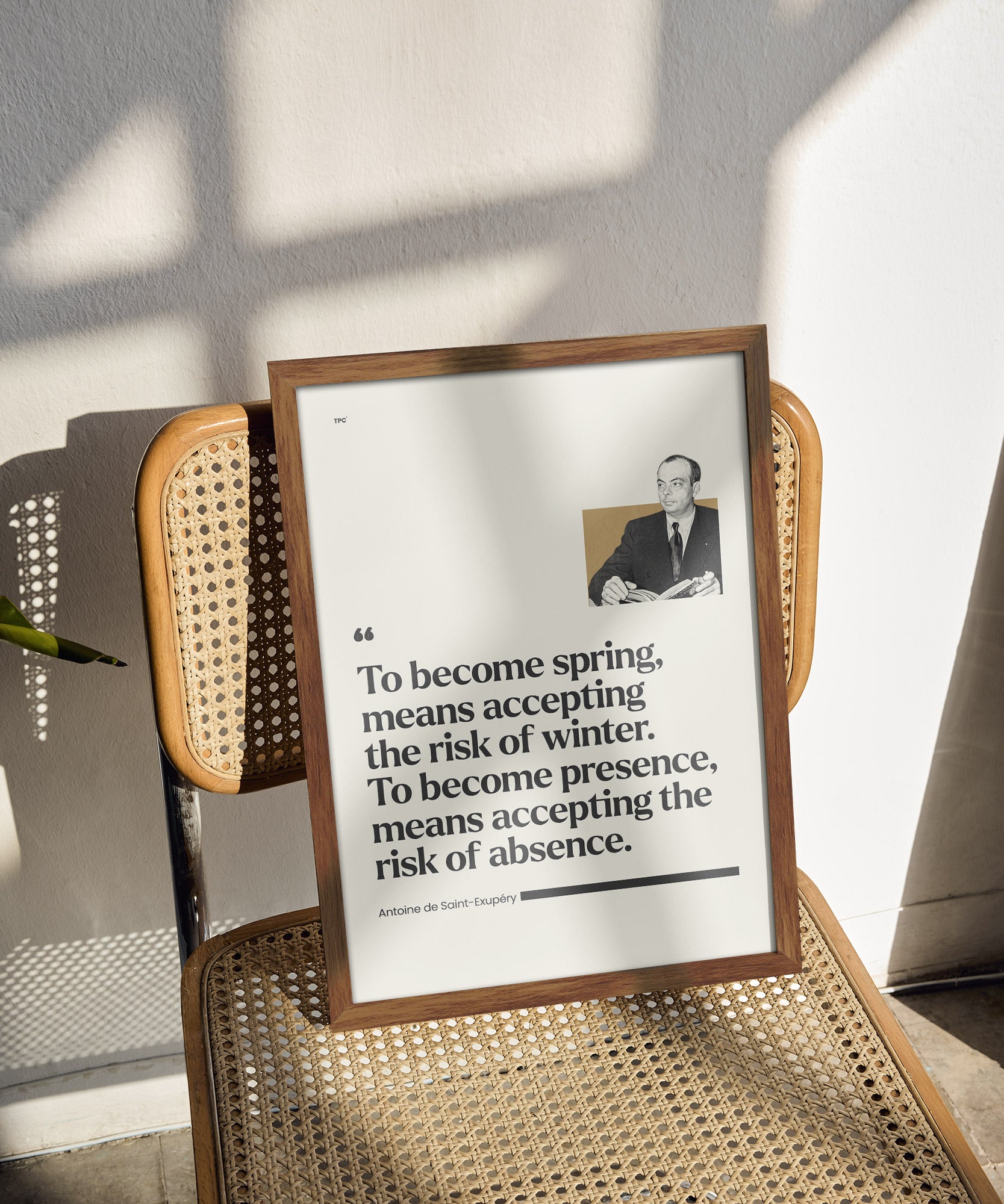 Antoine de Saint-Exupéry Poster